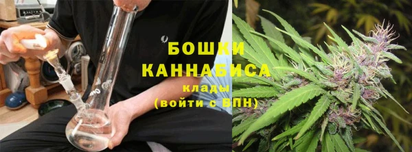 ГАЛЛЮЦИНОГЕННЫЕ ГРИБЫ Краснослободск